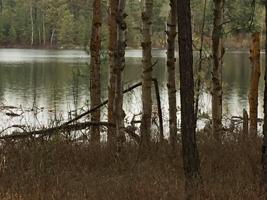 XXX Paige Pond