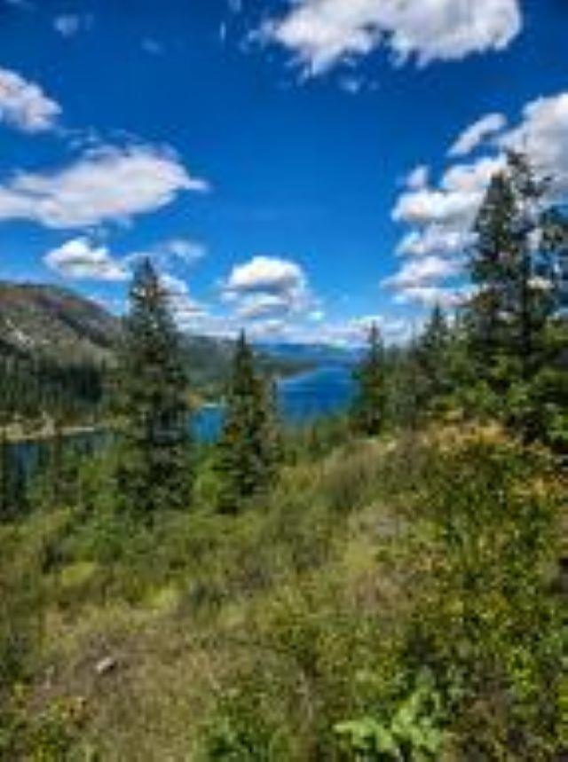 Image 1 Image 1