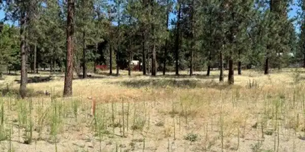 Lot 14 Long Lake Estates Est