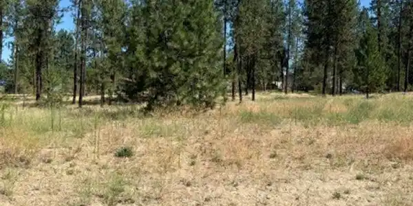 Lot 15 Long Lake Estates Est