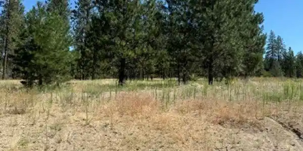 Lot 16 Long Lake Estates Est