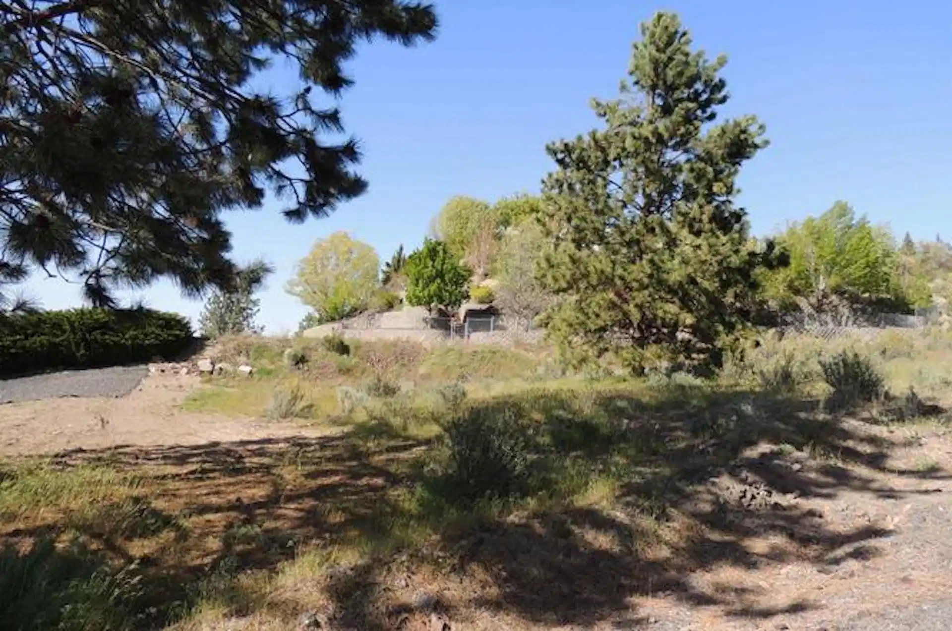 Image 1 Image 1