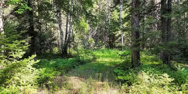 238 Rustic Rd