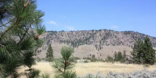 39420 Sterling Valley