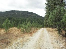 23 S Lot 3 Cedar Creek