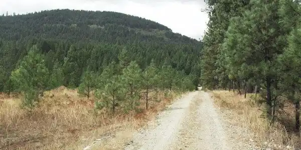 23 S Lot 3 Cedar Creek