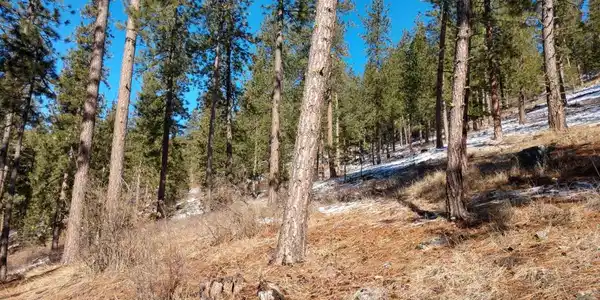 Lot 23 E Canyon Springs