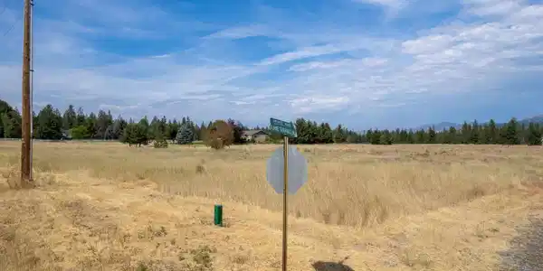 xxx Lake Terrace Ln