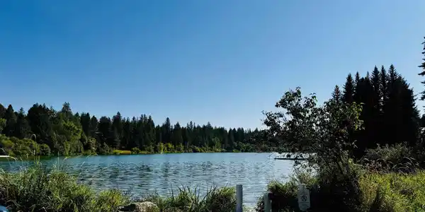 XXX N LAKESIDE DR Dr