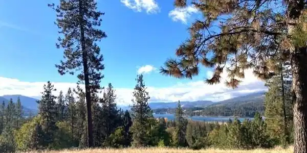 1353 Lake Roosevelt Way