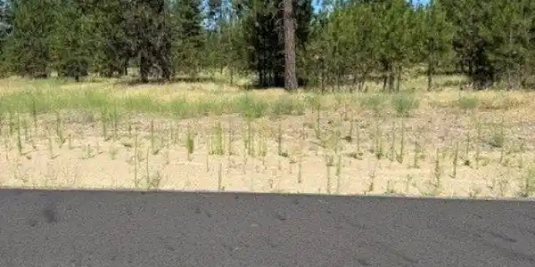 Image 3 Image 3