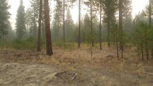 XX Lot 1 Eagle River