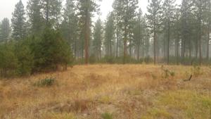 XX Lot 3 Eagle River