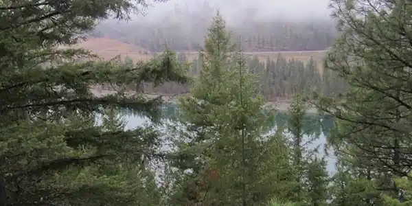xx Hwy 25