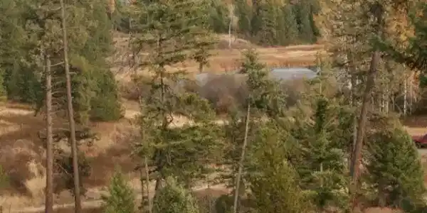 000 Little Sweden Rd