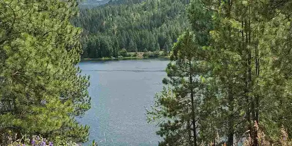2646 Northport Flatcreek