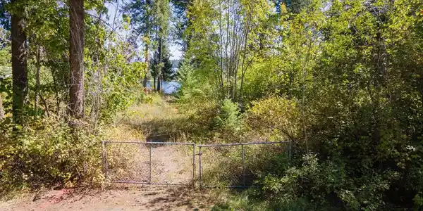 81 Woodland Dr