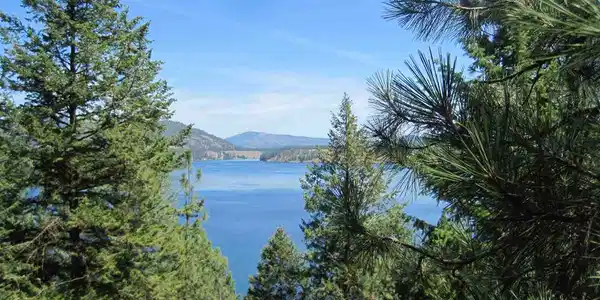 XXX Long Lake