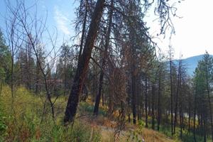 Lot 7 Ponderosa Park