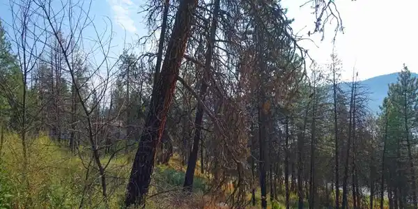 Lot 7 Ponderosa Park