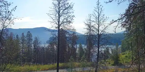 Lot 17 Ponderosa Park