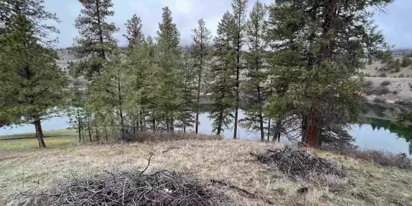 Lot 11 View