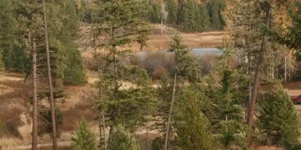 000 Little Sweden Rd