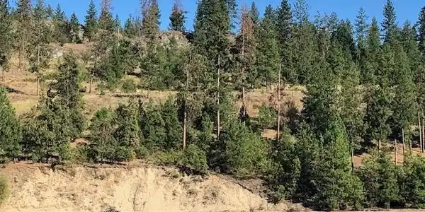 2296 Eagle River
