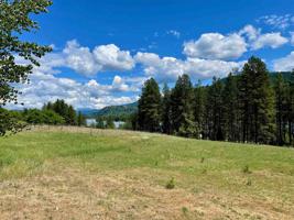 4217-B Northport Flat Creek