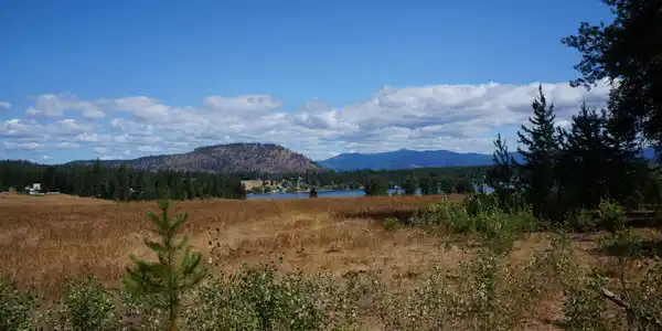 3499X Waitts Lake