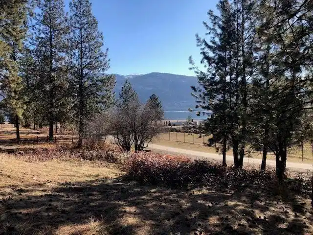 Image 1 Image 1