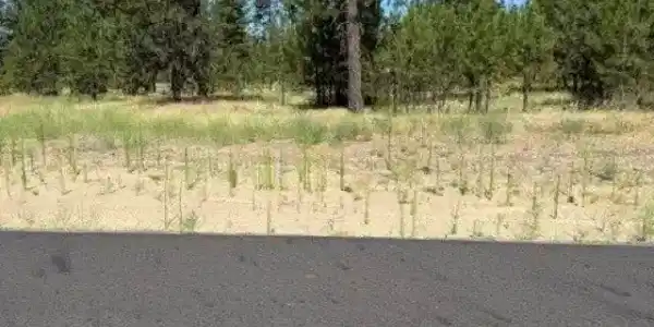 Lot 10 Long Lake Estates Est