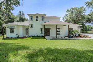 20338 WOLF SPRINGS