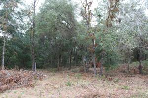 5748 OVERLOOK