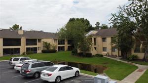 4376 LAKE ORLANDO