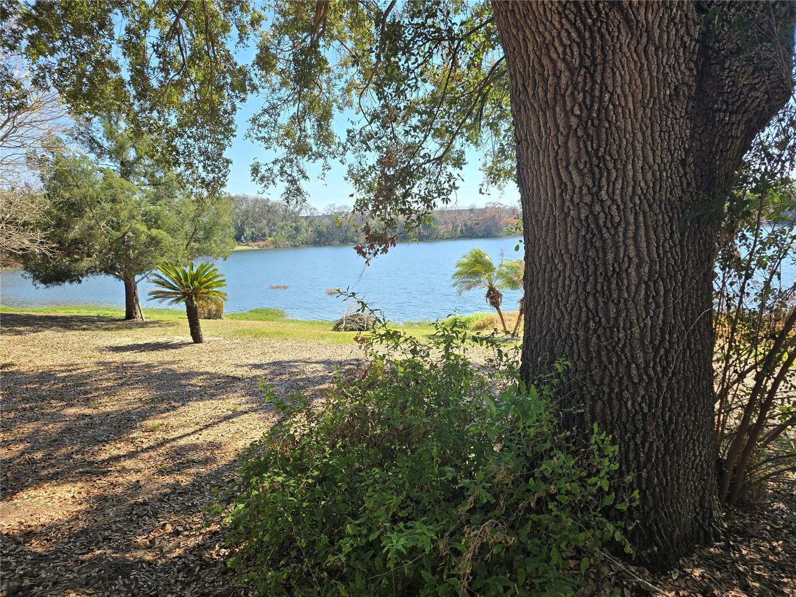 Image 4 Image 4