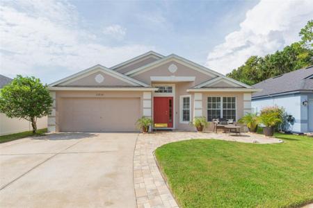 25236 FLYING EBONY LANE