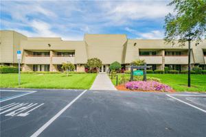 36750 US HIGHWAY 19 N