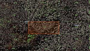 26-26-19-000000-011270 OLD GRADE