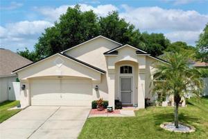 24815 BLACK CREEK