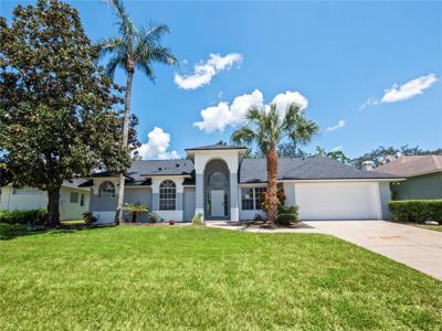 8443 ISLAND PALM