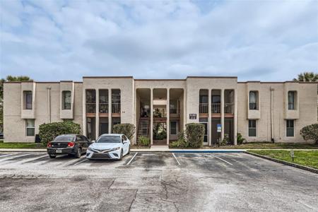 546 ORANGE DRIVE