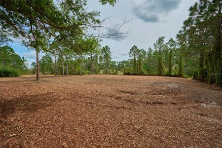 3 LANTANA DRIVE N