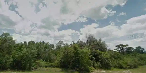 Image 3 Image 3
