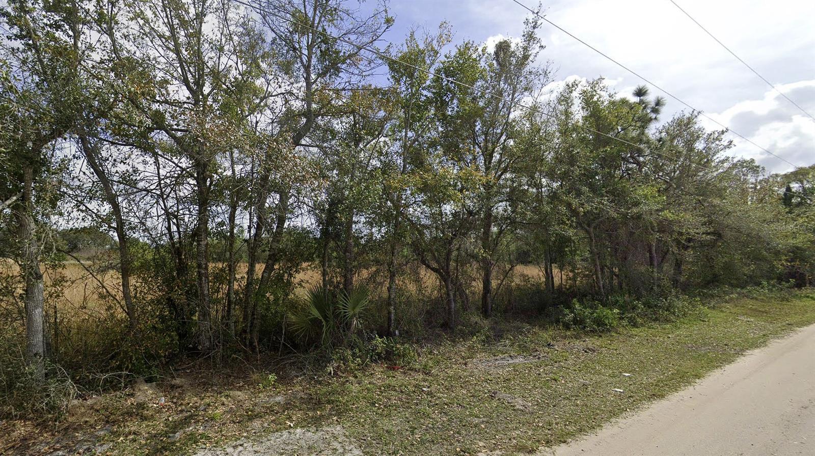 Image 1 Image 1