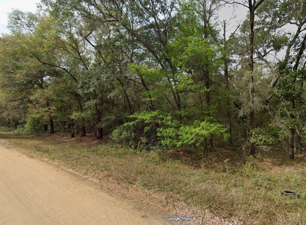 Image 1 Image 1