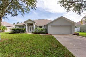 593 WILLET