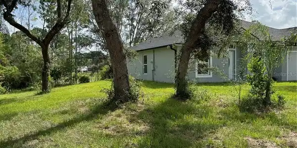 Image 4 Image 4