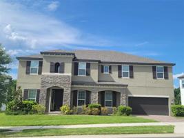 1427 JUNIPER HAMMOCK