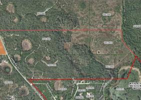 01 COUNTY ROAD 315